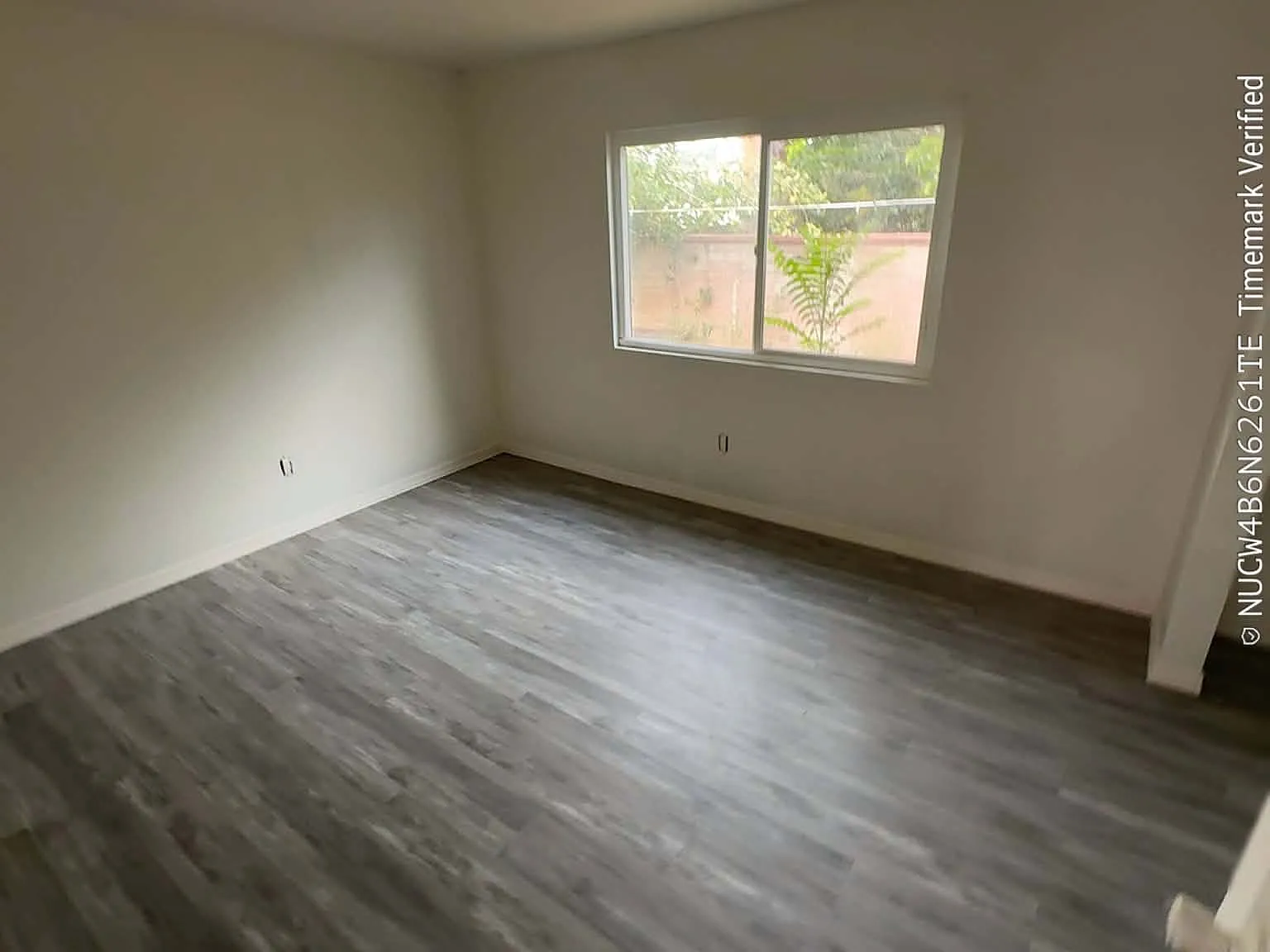 1 bed, 650 sqft, $1,595 — Photo 3