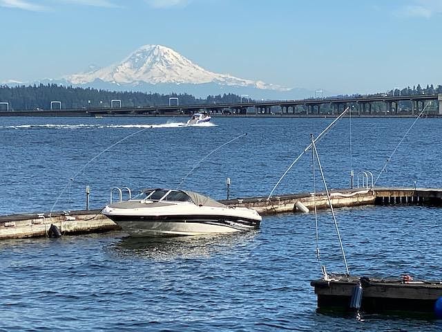 Mt Rainer view from the patio.