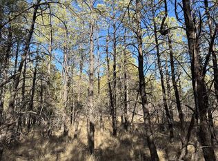 58 Oakmont Dr, Timberon, NM 88350