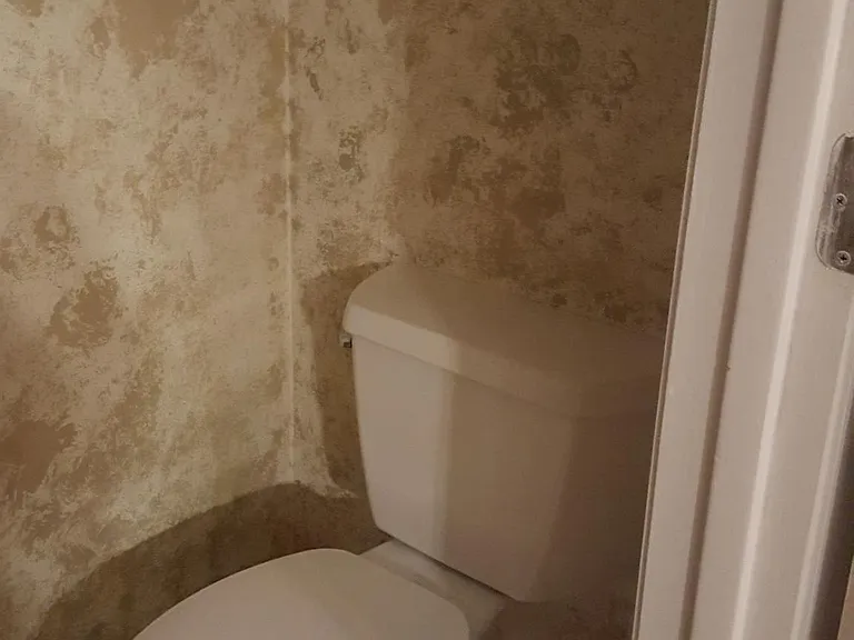 1/2 Bath (1st Floor)