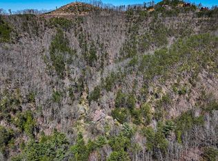 1060 Rayfield Hollow Way, Sevierville, TN 37862