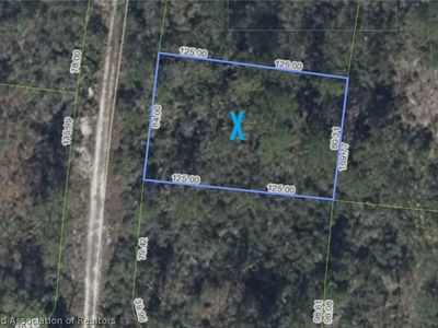 305 Imagination Dr, Lake Placid, FL, 33852