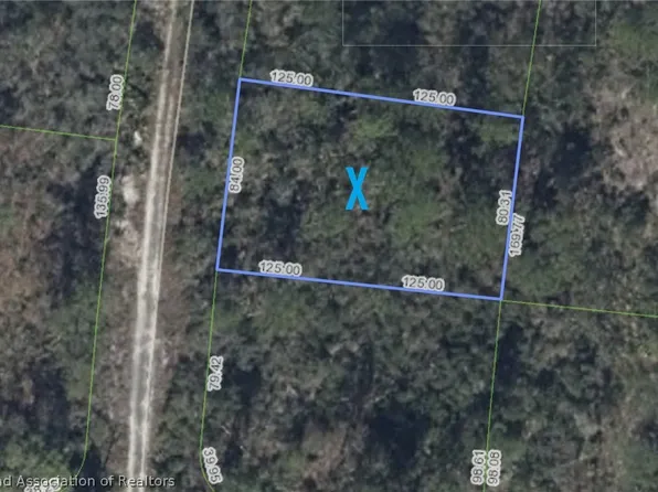 305 Imagination Dr, Lake Placid, FL 33852