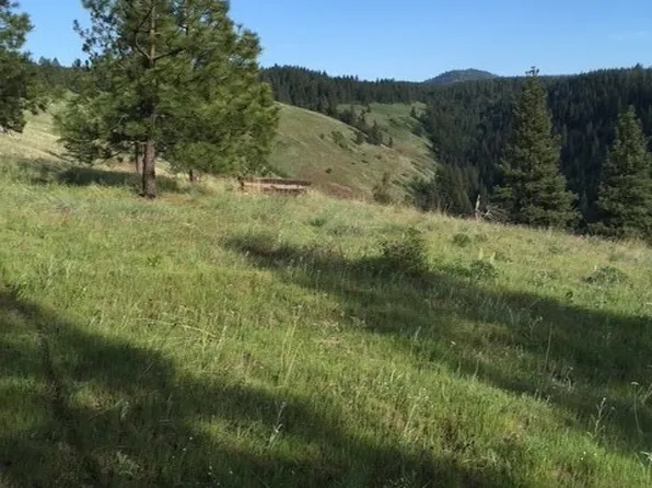 0 bare land, Waitsburg, WA 99361