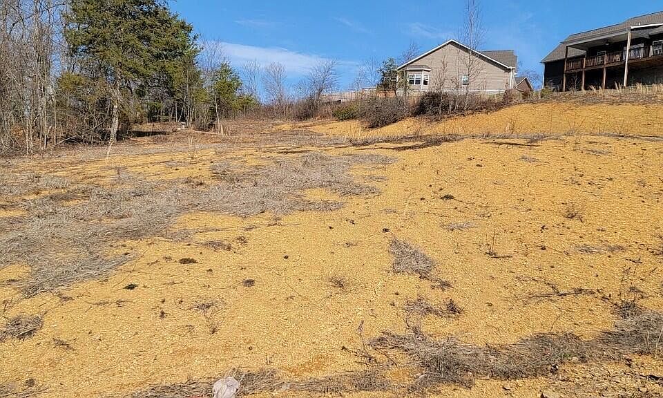 2nd image of 417 Brookstone Ridge Dr