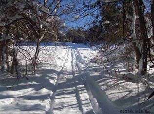 0 Gorge Rd, Middleburgh, NY 12122