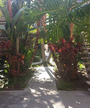 3rd image of 3962 Bancroft St Unit 5
