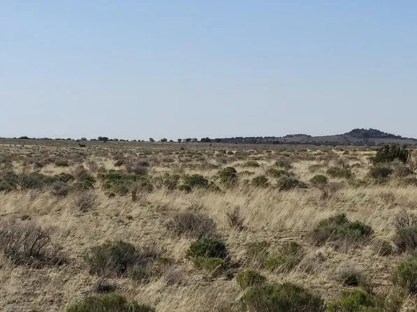 6232 S PRAIRIE GRASS Lane #294, Williams, AZ 86046