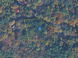 1060 Nexus Dr, Ellijay, GA 30540