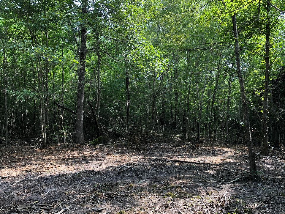 2nd image of 14 65 Acre Mary Magdalene Rd