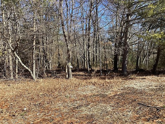 4th image of 0 Coleman Ave