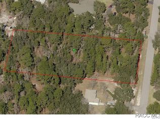 2154 S Bolton Ave, Homosassa, FL 34448