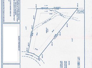 115 Preserve Pkwy, Ball Ground, GA 30107