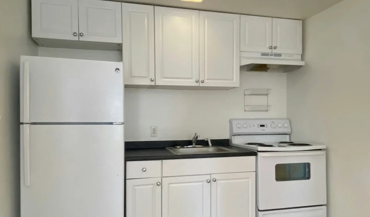 1 bed, 510 sqft, $2,950 — Photo 2