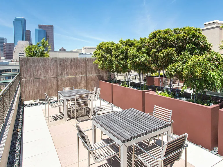 Rooftop with DTLA Views