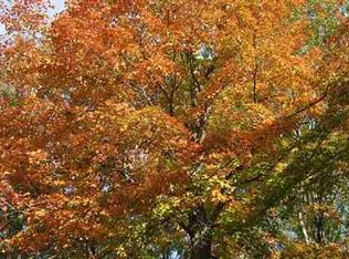 Hudson Rd, South Boardman, MI 49680