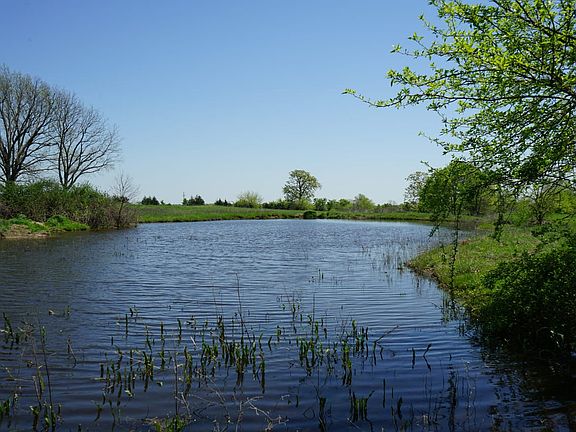 5th image of 5320 Lake West Rd