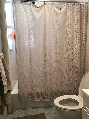 Rented by PMG Real Estate  | media 39