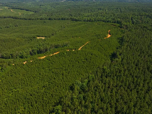 Bishop Ridge Rd, West Blocton, AL 35184