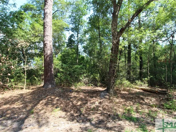 0 Hwy 119 Highway N, Springfield, GA 31329