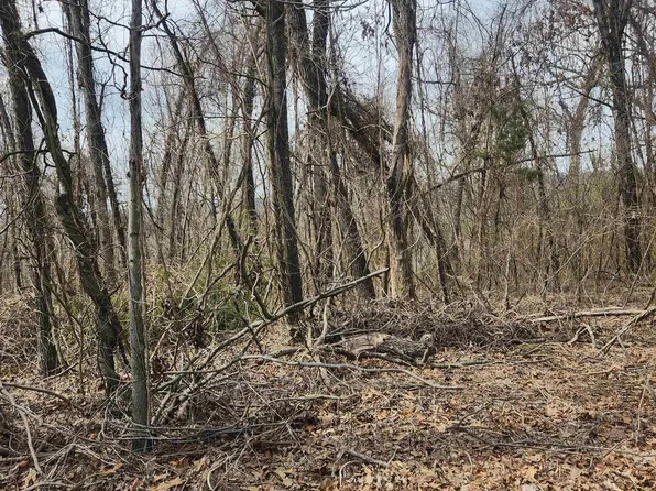 L-1-B Hiawatha Dr #9, Cherokee Village, AR 72529