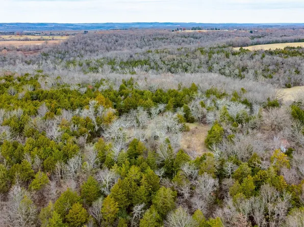 Tbd Charles Street, Taneyville, MO 65759