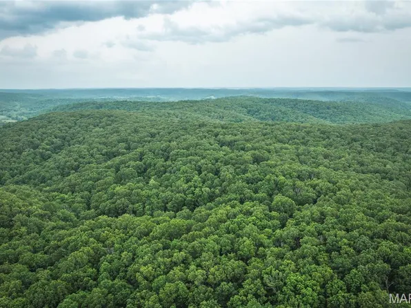 0 County Road 6280 #3, Jadwin, MO 65501