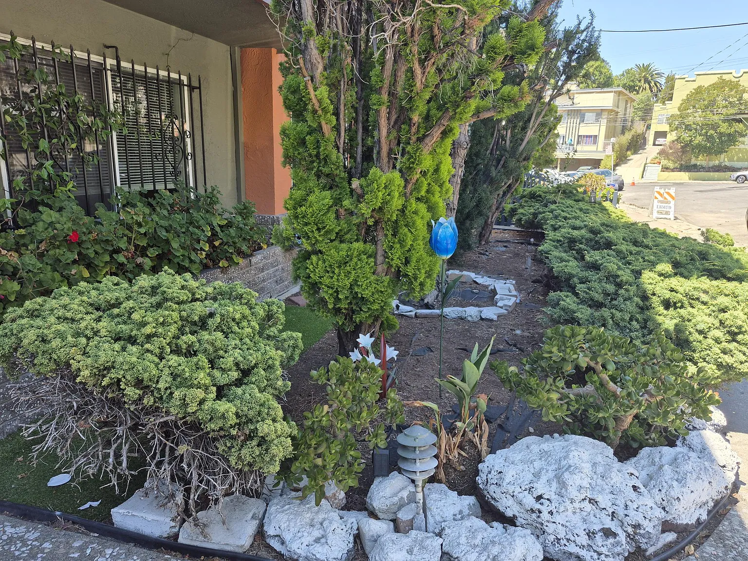 Lester Ave, Oakland — Photo 4