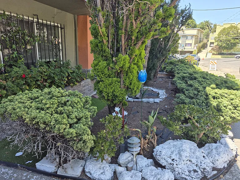 Lester Ave — Photo 4