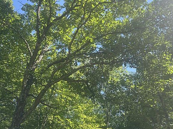 3rd image of Lot 1 271st Street