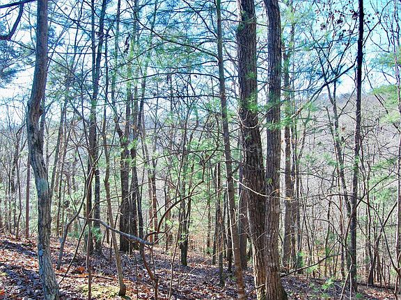 2nd image of Wildwood Trl