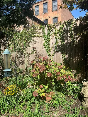 Rented by Corcoran | media 5