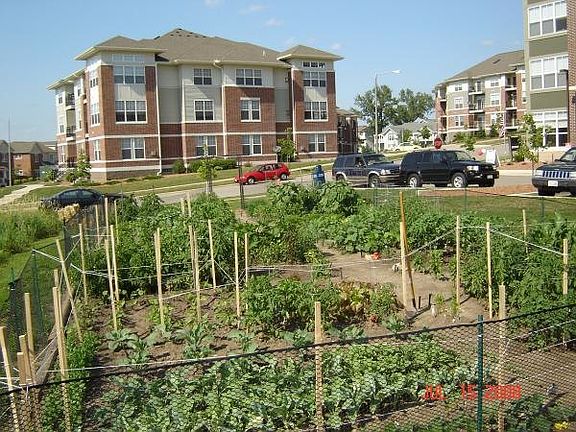 Have your own garden plot! Water and tools provided
