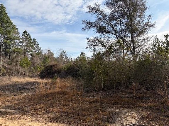 3rd image of 0 Harmon Williams Rd