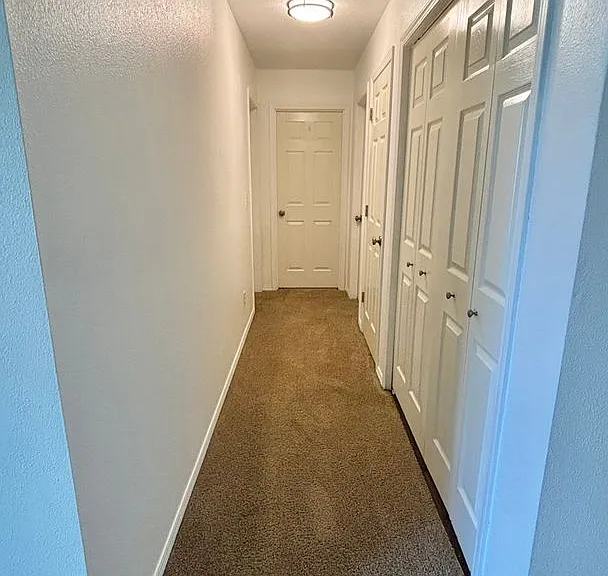 JC0497 — Photo 7