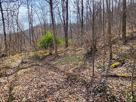 5th image of 0 Dry Creek Rd