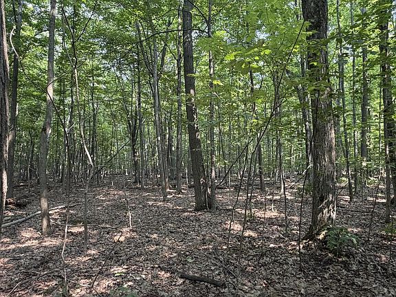 5th image of Tbd Birch Ln