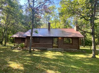 6585 Big Wolf Lake Rd, Lewiston, MI 49756