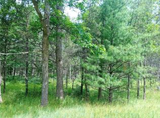 37 M, Baldwin, MI 49304