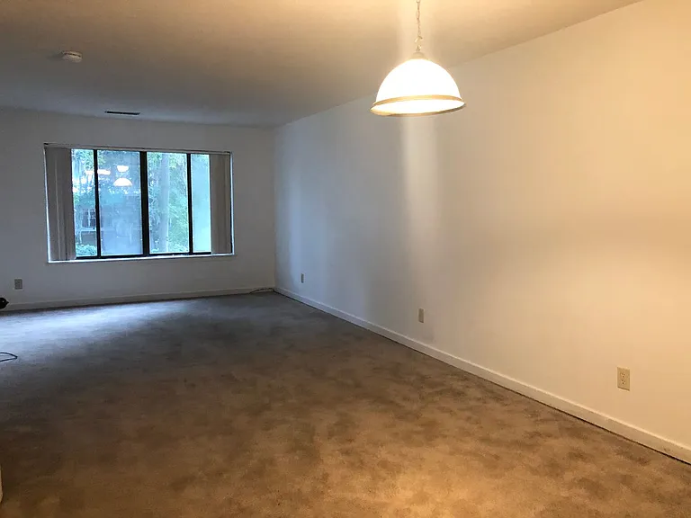 36 Deallyon Ave #105 — Photo 8