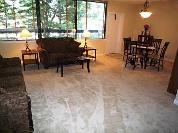 5th image of 3709 S George Mason Dr APT 101
