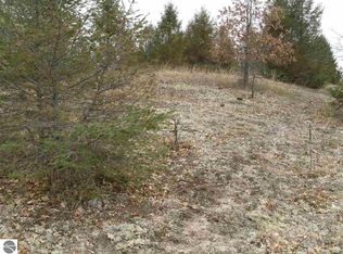 11109 Coster Rd SW, Fife Lake, MI 49633