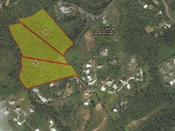 Sector Monticello, Cidra, PR 00739