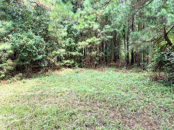 3rd image of 1992 Buck Wright Rd