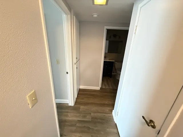 2918 Sunbird Dr — Photo 38