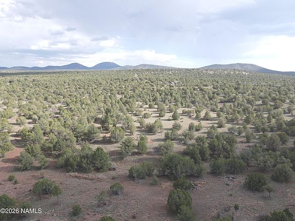 5th image of 2870 E Forest Service Rd #736