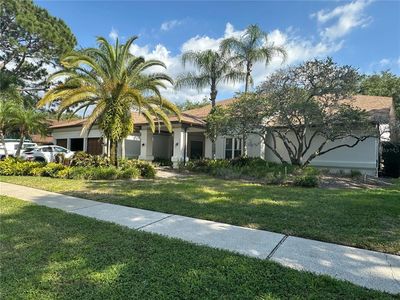 3314 Cheviot Dr, Tampa, FL, 33618