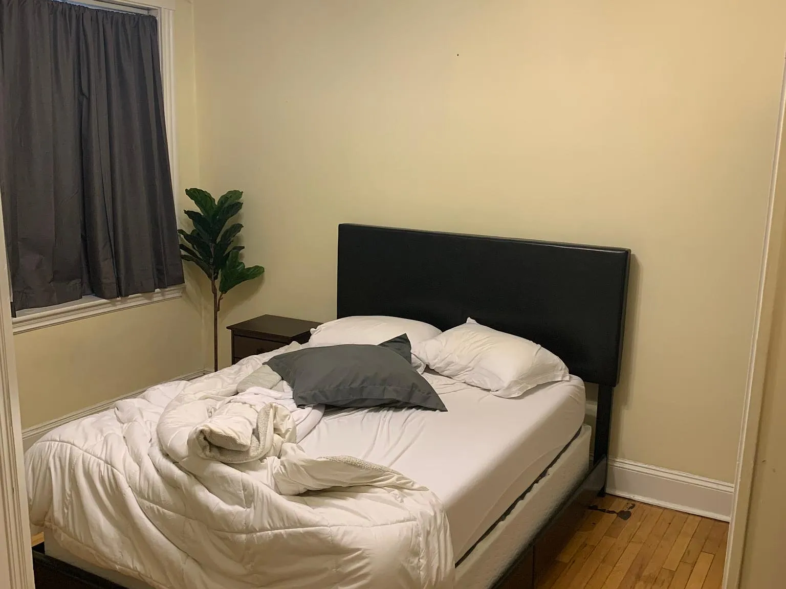 1 bed, 415 sqft, $1,950 — Photo 2