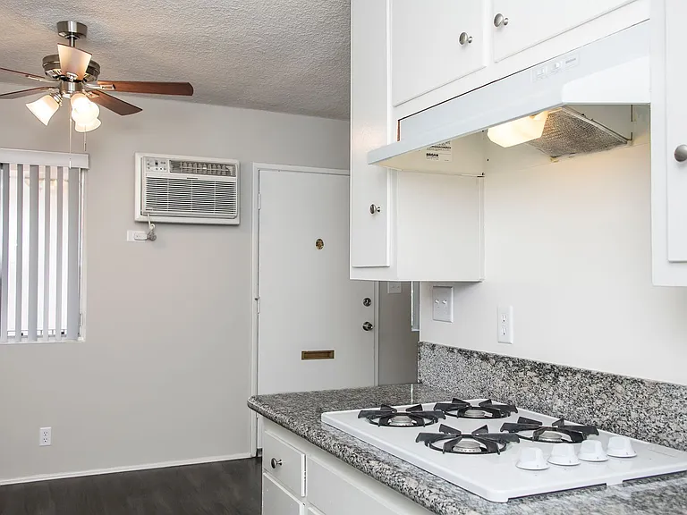 1256 Boynton St — Photo 10