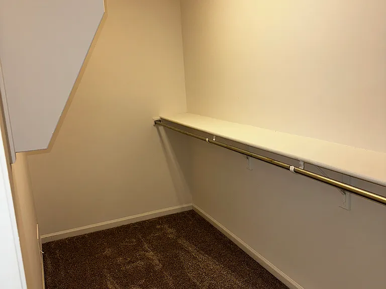 Walk-in closet (master bathroom)